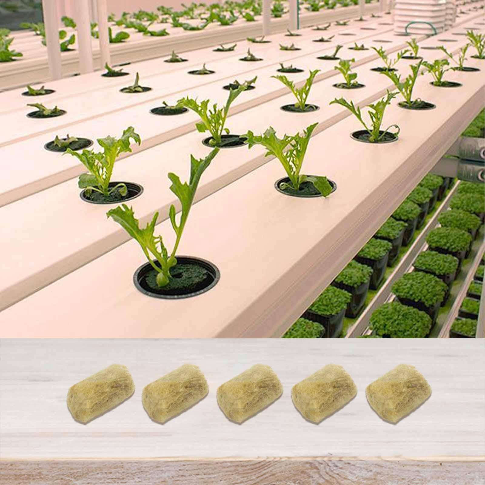 Optimal Aeration and Moisture Retention Rock Wool Substrates for Plants