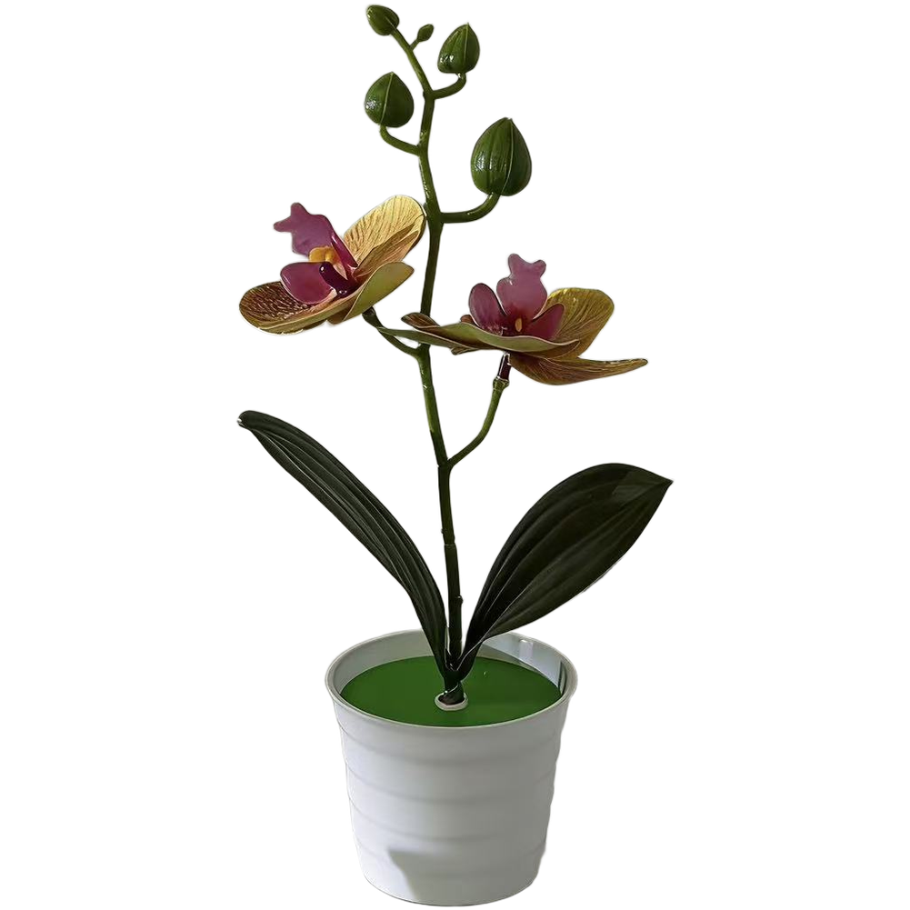 Fake Orchid Plant Phalaenopsis Type for Living Room Bedroom Study Decor Plastic