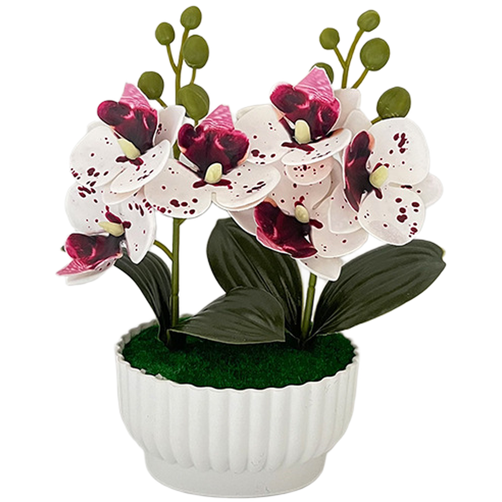 Phalaenopsis Orchid Simulation Potted Flower for Contemporary Interior Design
