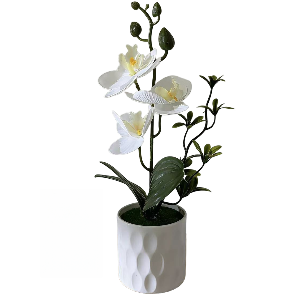 Realistic Fake Butterfly Orchid Plant in Pot for Indoor Office Home Decor