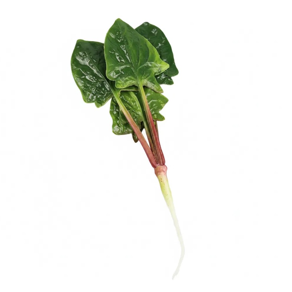 Decorative Spinach Piece for Spring Summer Fall Winter Interior Accents
