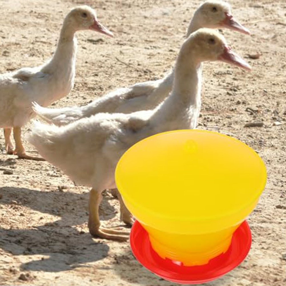 Chicken Feeder Bucket with Automatic Function for Small Flock Management