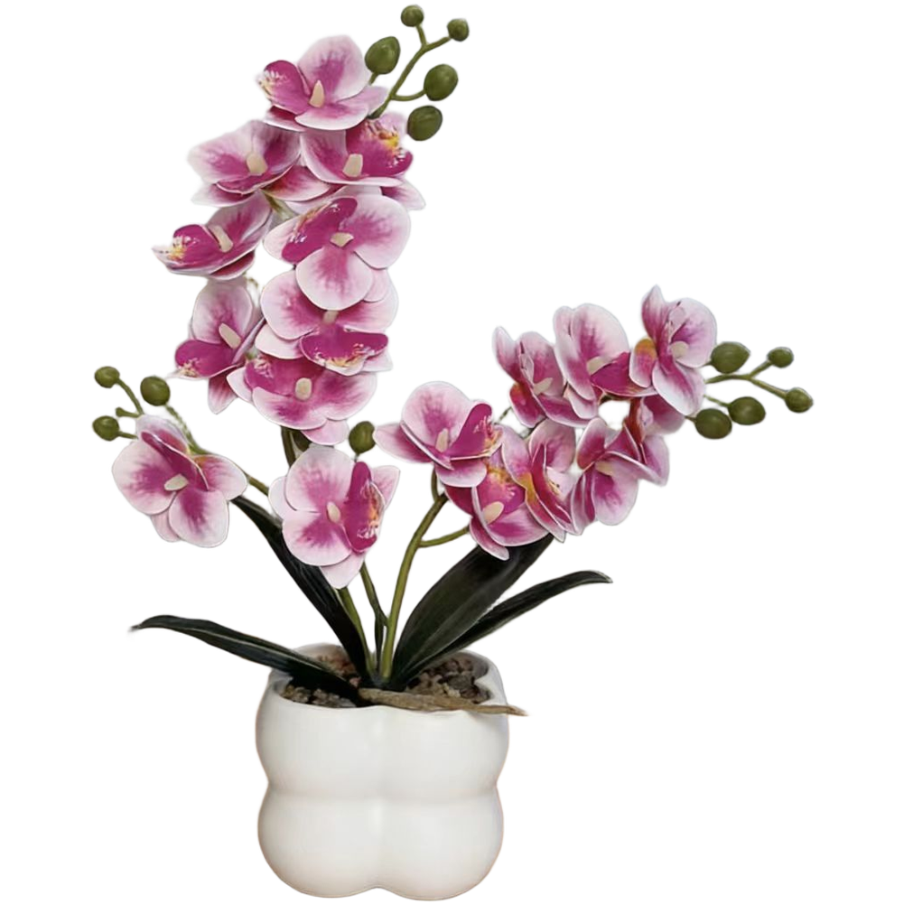 Artificial Orchid Home Decoration Soft Plastic for material Maintenance-free