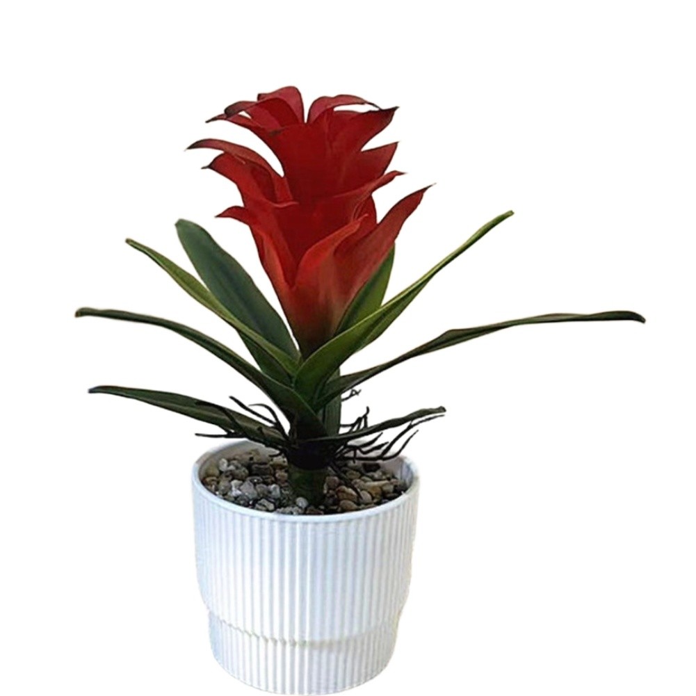 Pineapple Flower Fake Plant in Pot 21cm Tall for Indoor For Table Decor