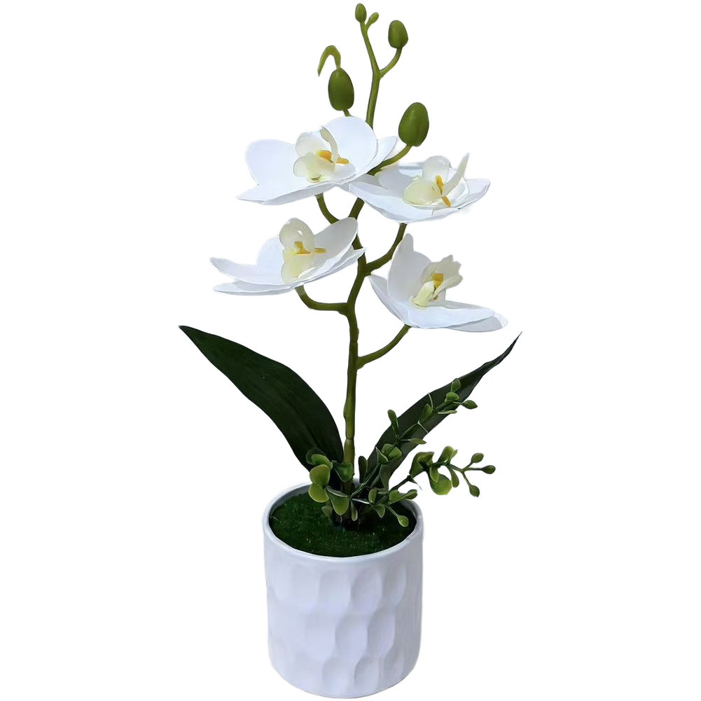 Plastic Phalaenopsis Orchid 3D Printed Potted Artificial Flower 28 x 15 cm