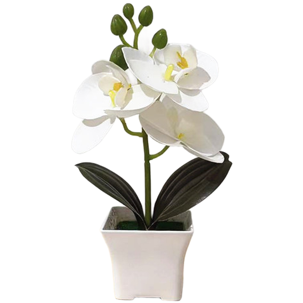 Compact Artificial Phalaenopsis Orchid Arrangement 19cm Tall Shelf Table Decor