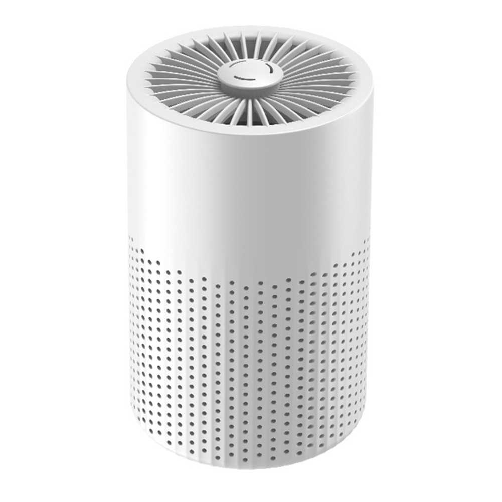 Compact Air Purifier 13 x 21.5cm with HEPA and Carbon Filter for Home Car Use