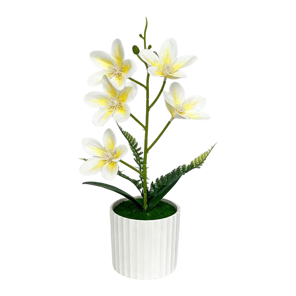 Vertical Pot Magnolia Flower Decoration with Realistic Petals and Green Leaves