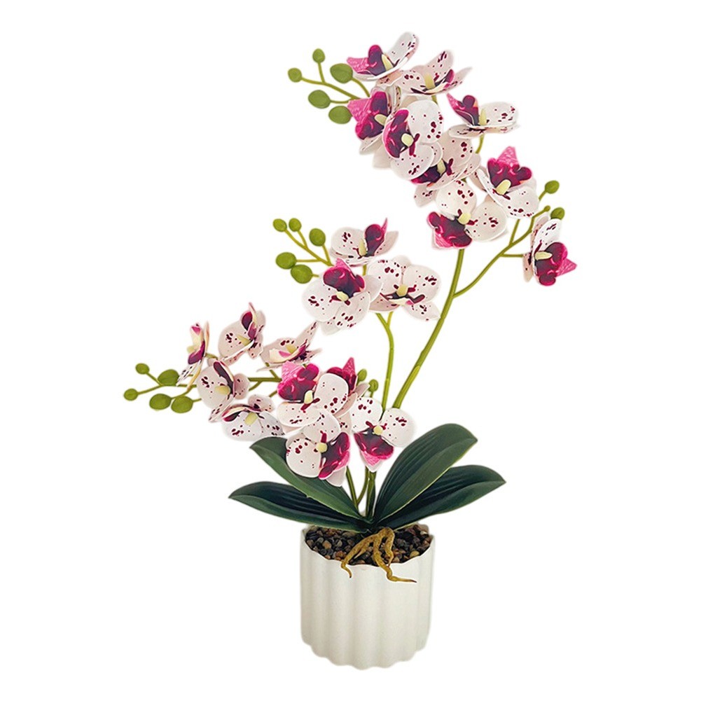 Phalaenopsis Plant Artificial Orchid Realistic Appearance Plastic for material