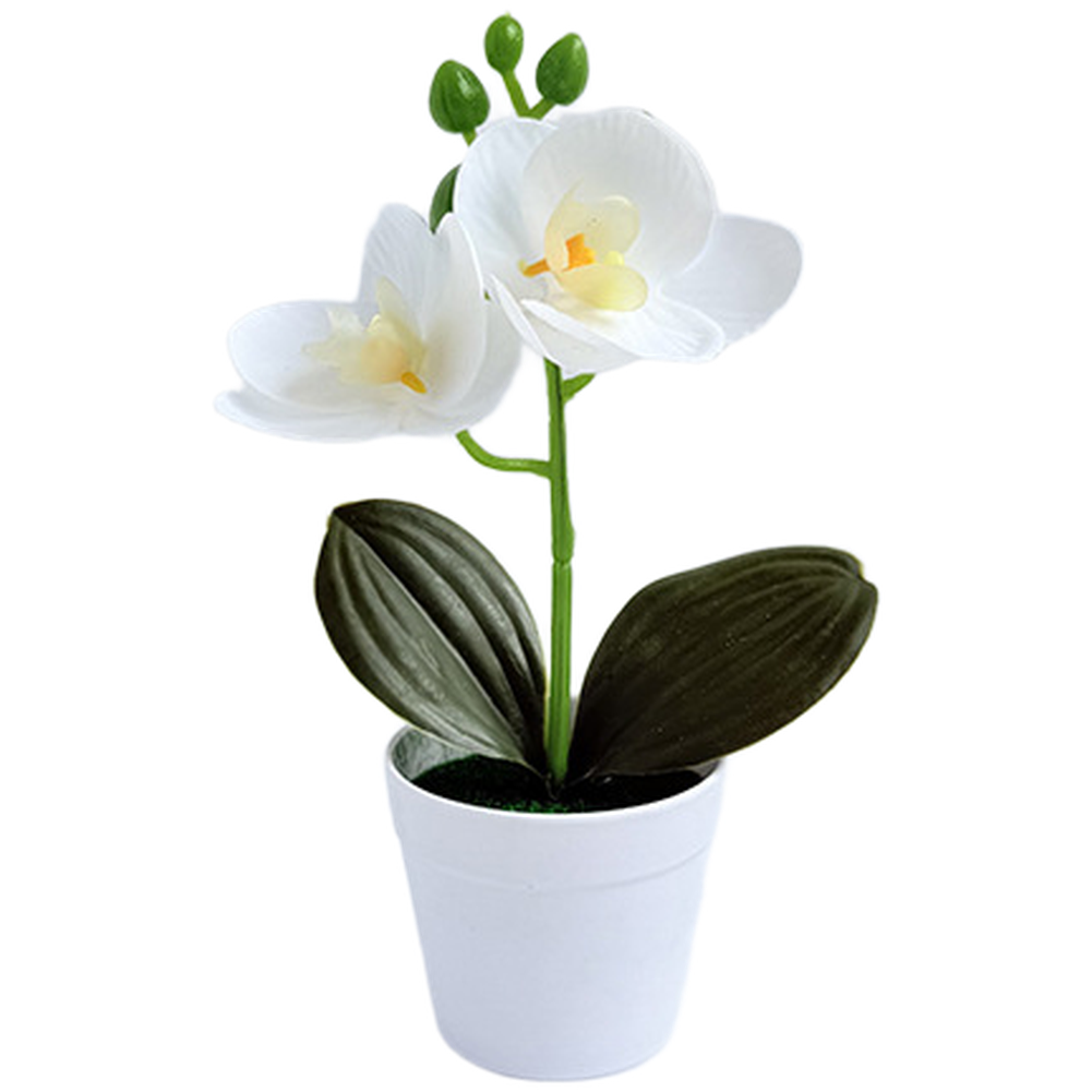 Miniature Phalaenopsis Decor Realistic Butterfly Blooms Handcrafted Detail
