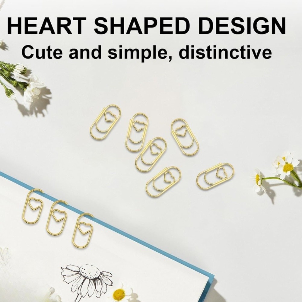 Foto 10 di 15