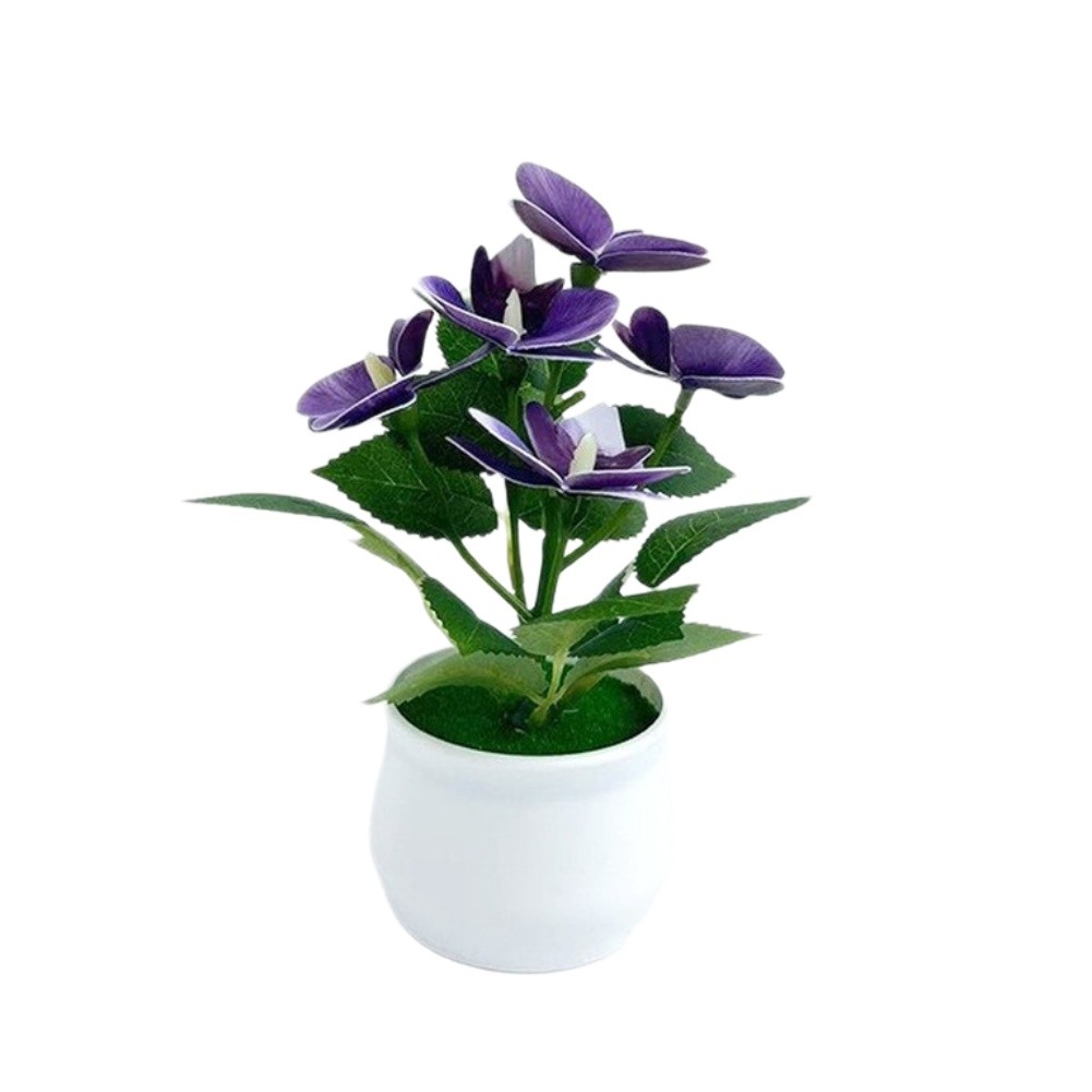 Potted Artificial Phalaenopsis Orchids 5 Piece Nordic Style Arrangement