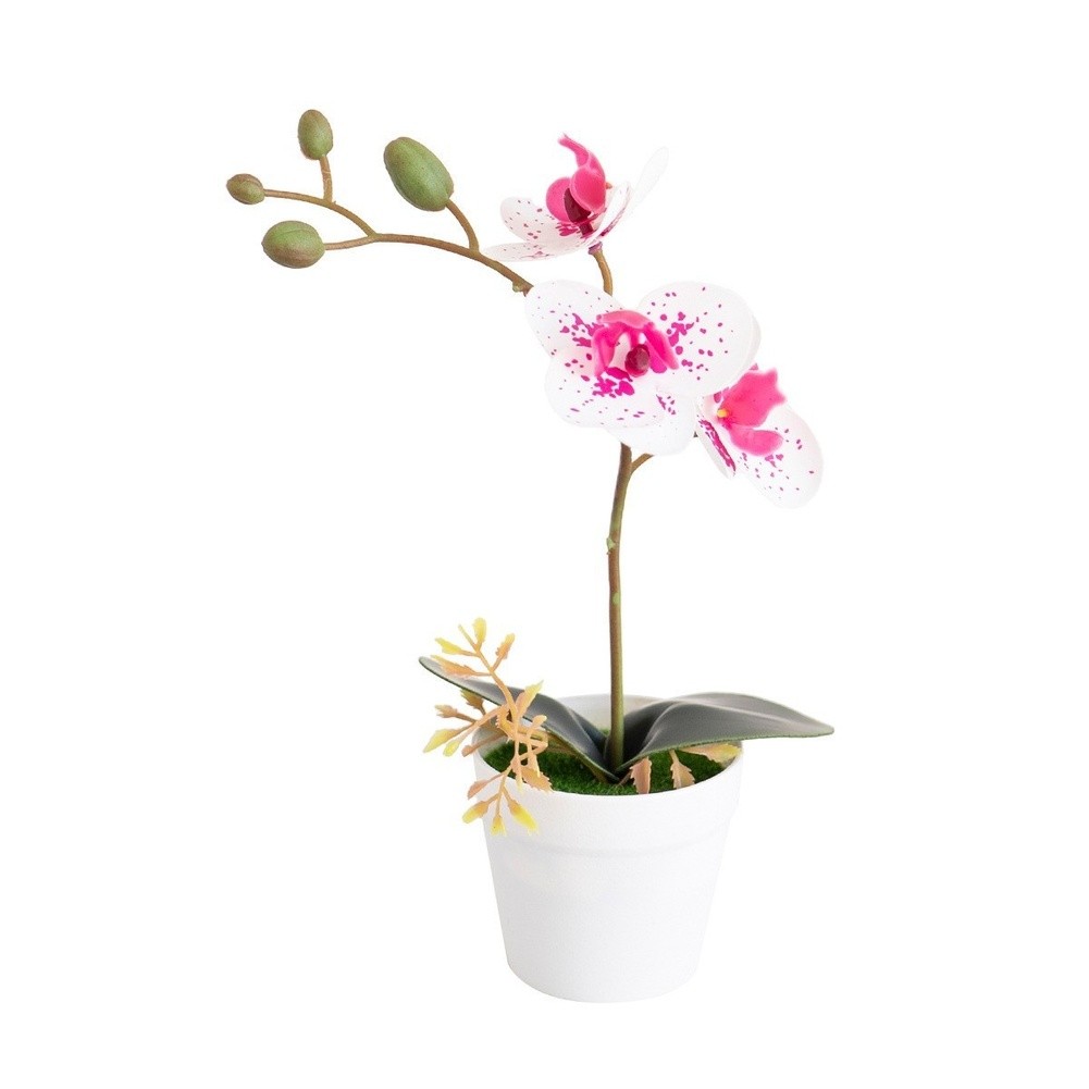 Silk Phalaenopsis Orchid Potted Plant 26cm for Contemporary Home Office