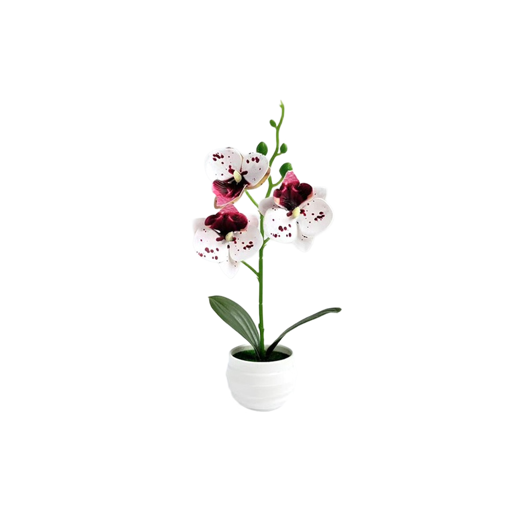 Indoor Decor Fake Phalaenopsis Orchid Potted Plant 24.5cm Height for Any Room
