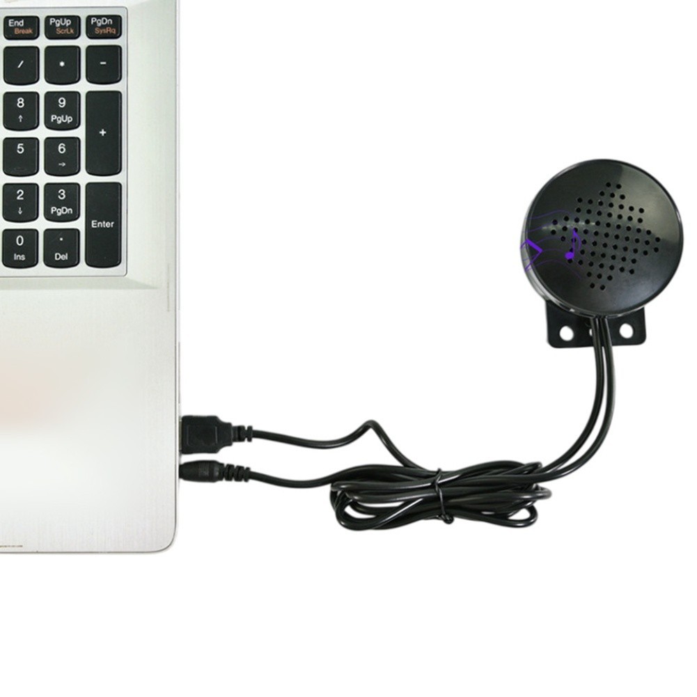 Black Voice Playback Module Speaker USB 5V Powered 1W Output for Laptop Use