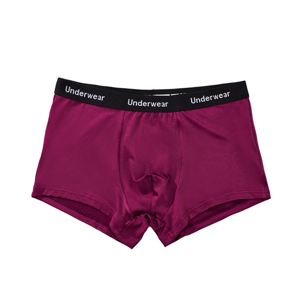Men&rsquo;s Soft Trunks Boxer Shorts Breathable Fabric U Pouch Elastic Support