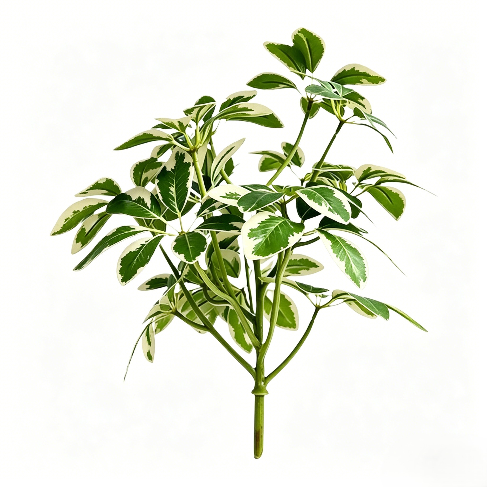 Green Artificial Seven Point Leaf Stem for Photography and Interior Decor