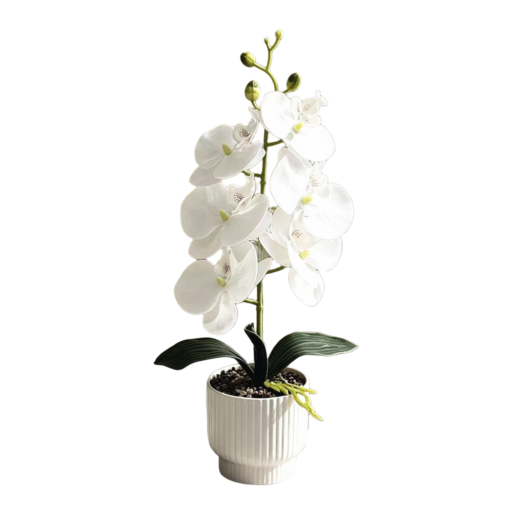 42cm Phalaenopsis Orchid Fake Flower Plastic Stem with Natural Texture