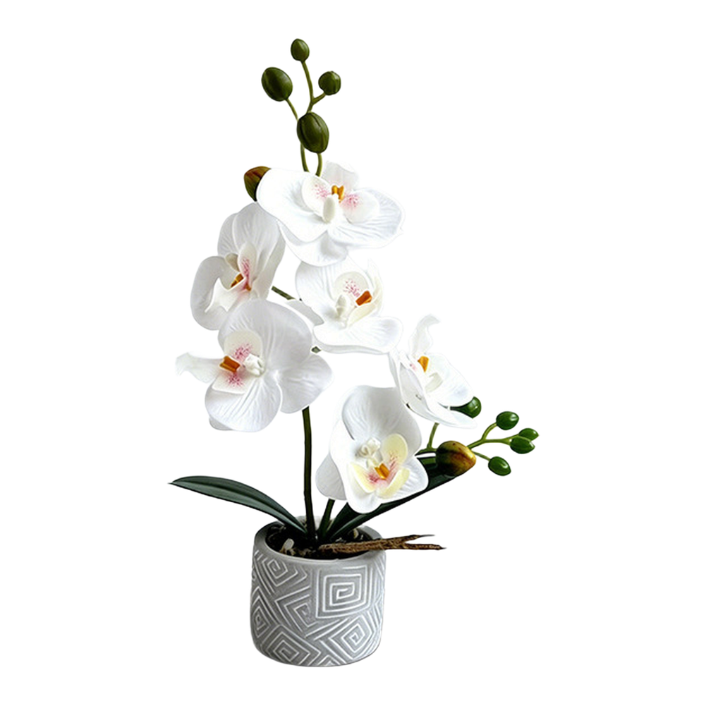 Fake Orchid Flower Plant in Cement Pot for Contemporary For Home Decoration