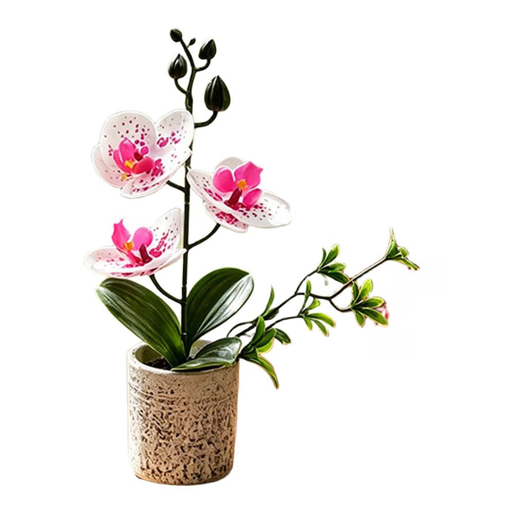 Realistic Artificial Butterfly Orchid Potted Plant 25.5cm for Wedding Decor