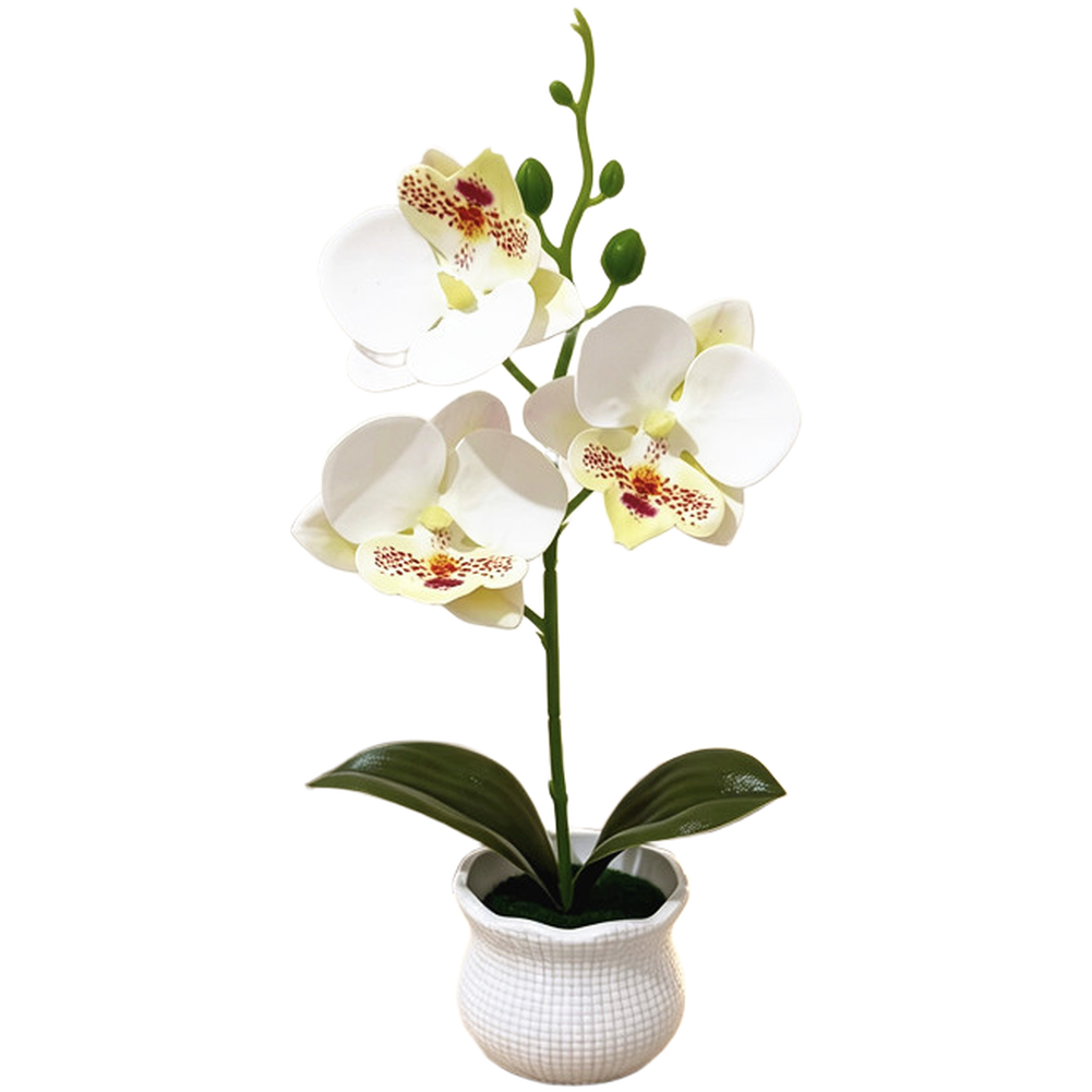 Fake Orchid Plant in Pot Plastic Fabric Materials 25x12cm for Modern Home Decor