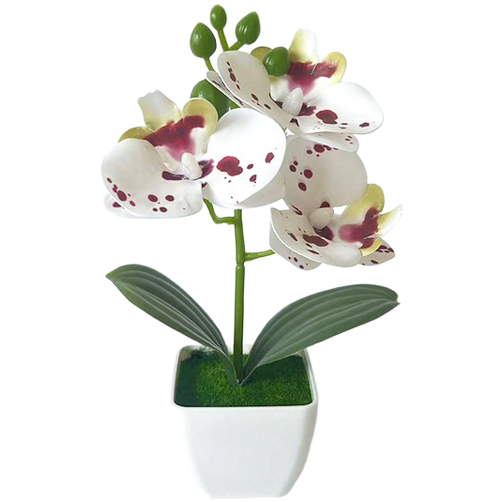 Artificial Orchid Arrangement 3 Bloom 7.09in with Square Pot for Living Room