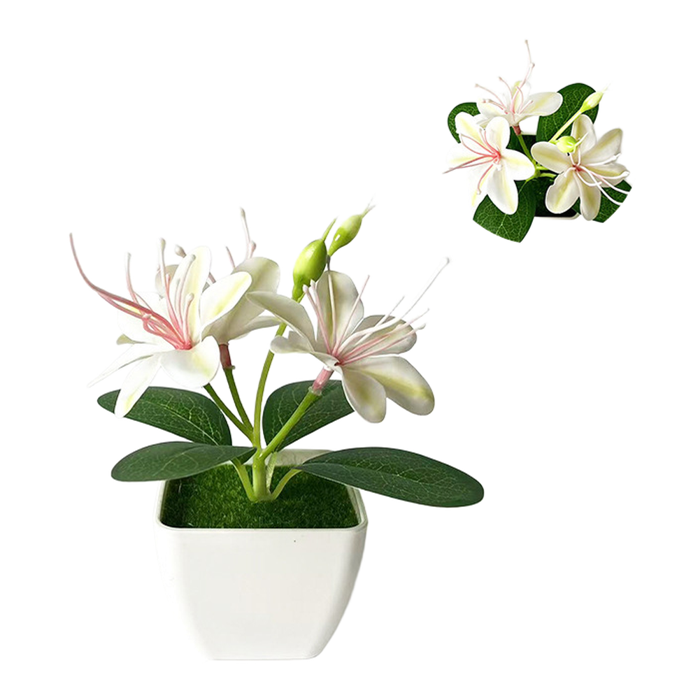 Artificial Jasmine Arrangement 4.9 inches in White Square Pot with Moss Liner