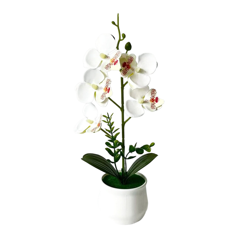 Artificial Orchid Potted Plant 5 Pack White Orange Pink Purple for Home Decor