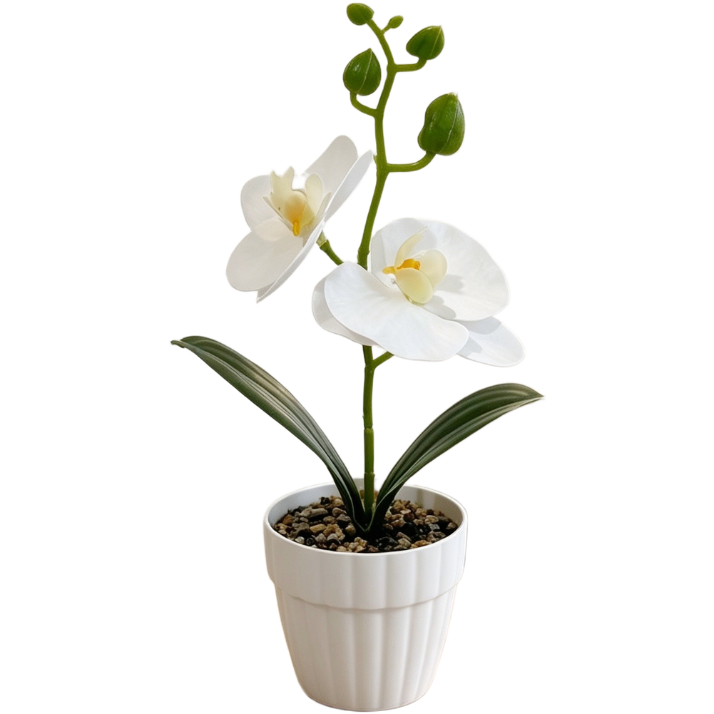 White Green Black Purple Orange 3D Printed Orchid Artificial Plant Pot
