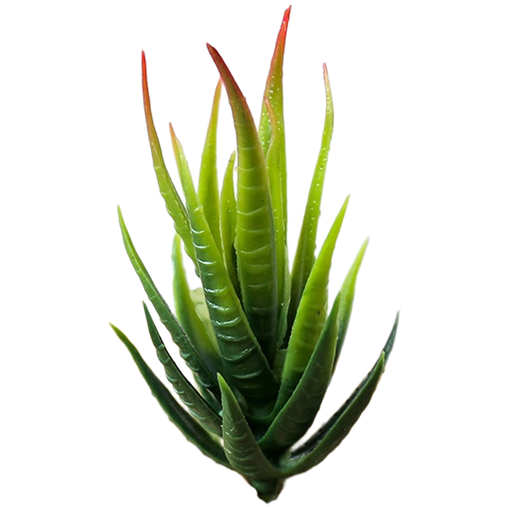 PVC Fake For zebra Aloe Plant for DIY Interior Wall Decor Home Office 12cm Tall