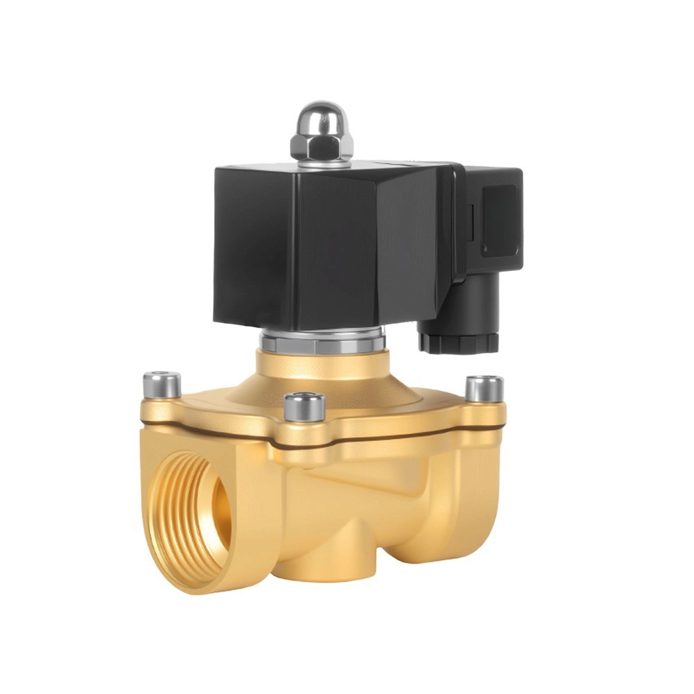 AC24V AC110V AC380V DN15 Brass Solenoid Valve with Plastic Encapsulated Coil
