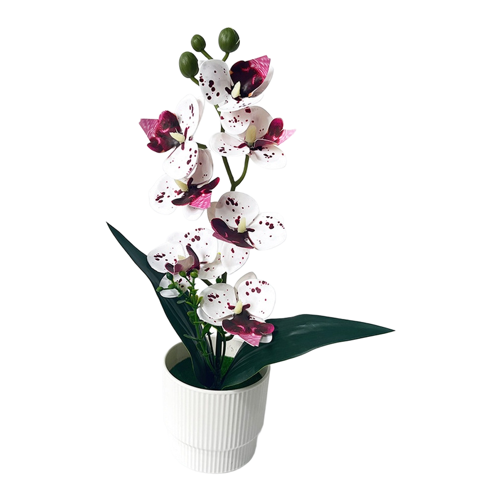 Potted Artificial Butterfly Orchid 12.2in/31cm White Dot Purple Pink White Red
