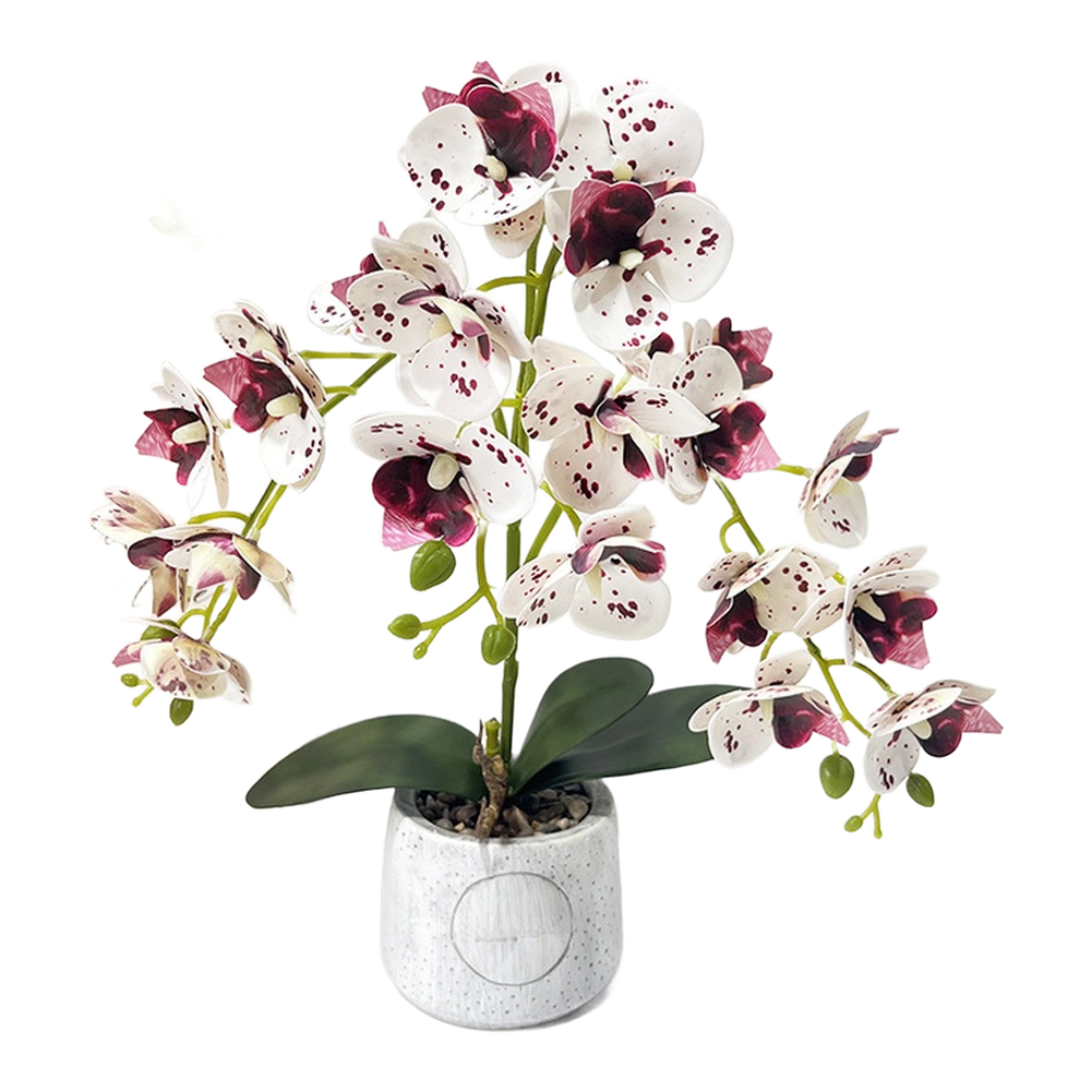 Synthetic Butterfly Orchid in Matte Cement Pot for Modern Farmhouse Decor Style