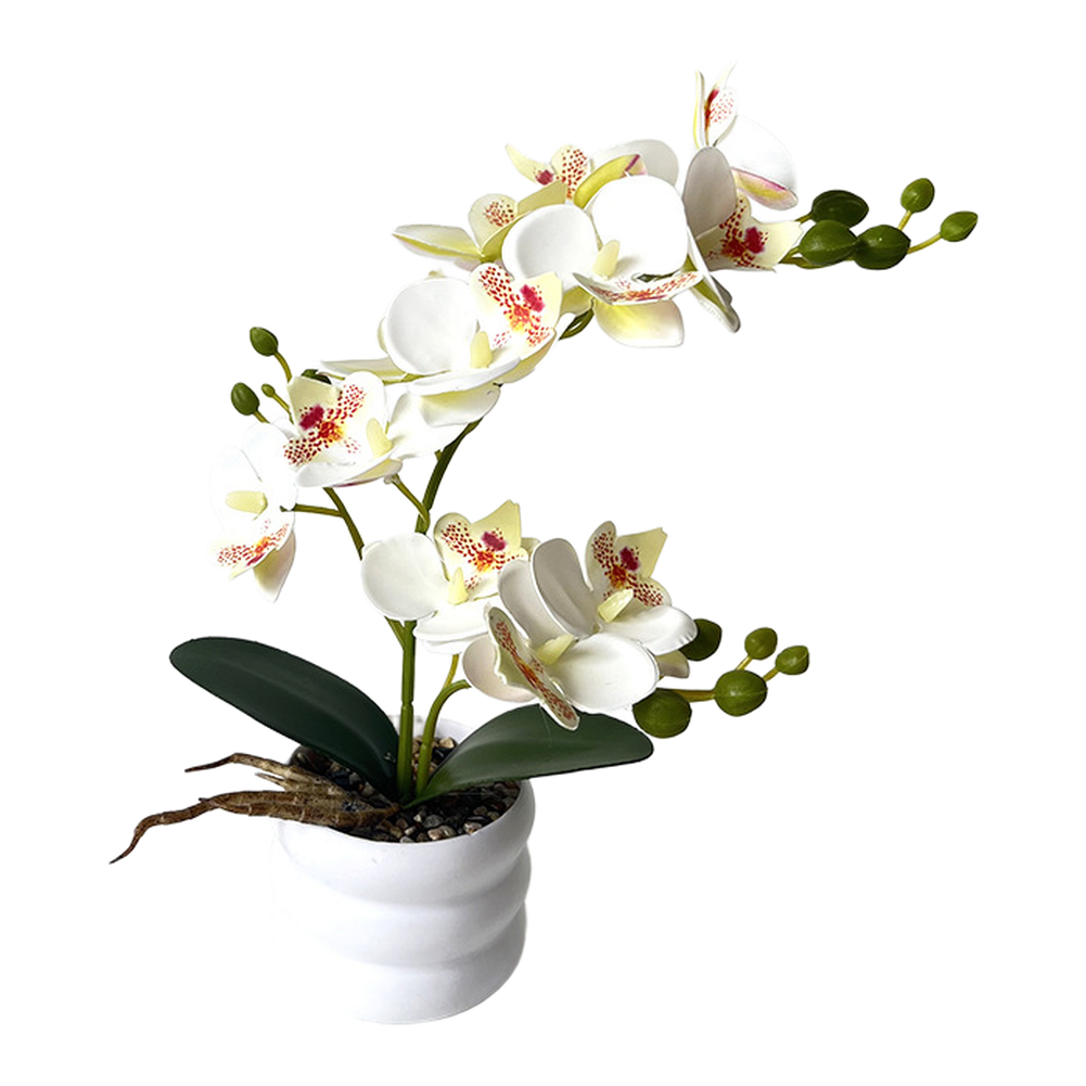 Faux Phalaenopsis Orchid Silk Flower Centerpiece Dust Resistant 12-bloom Design