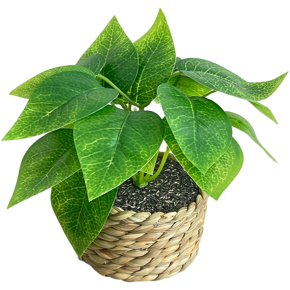 White Flower and Green Leaf Silk Plant in Woven Basket 15 x 15 x 15cm for Desk