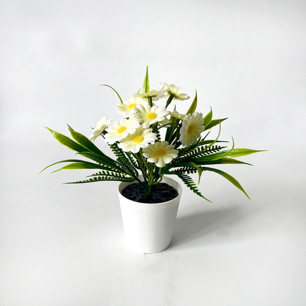Indoor Chrysanthemum Bonsai Style Plant for Desk Nightstand Table Decor