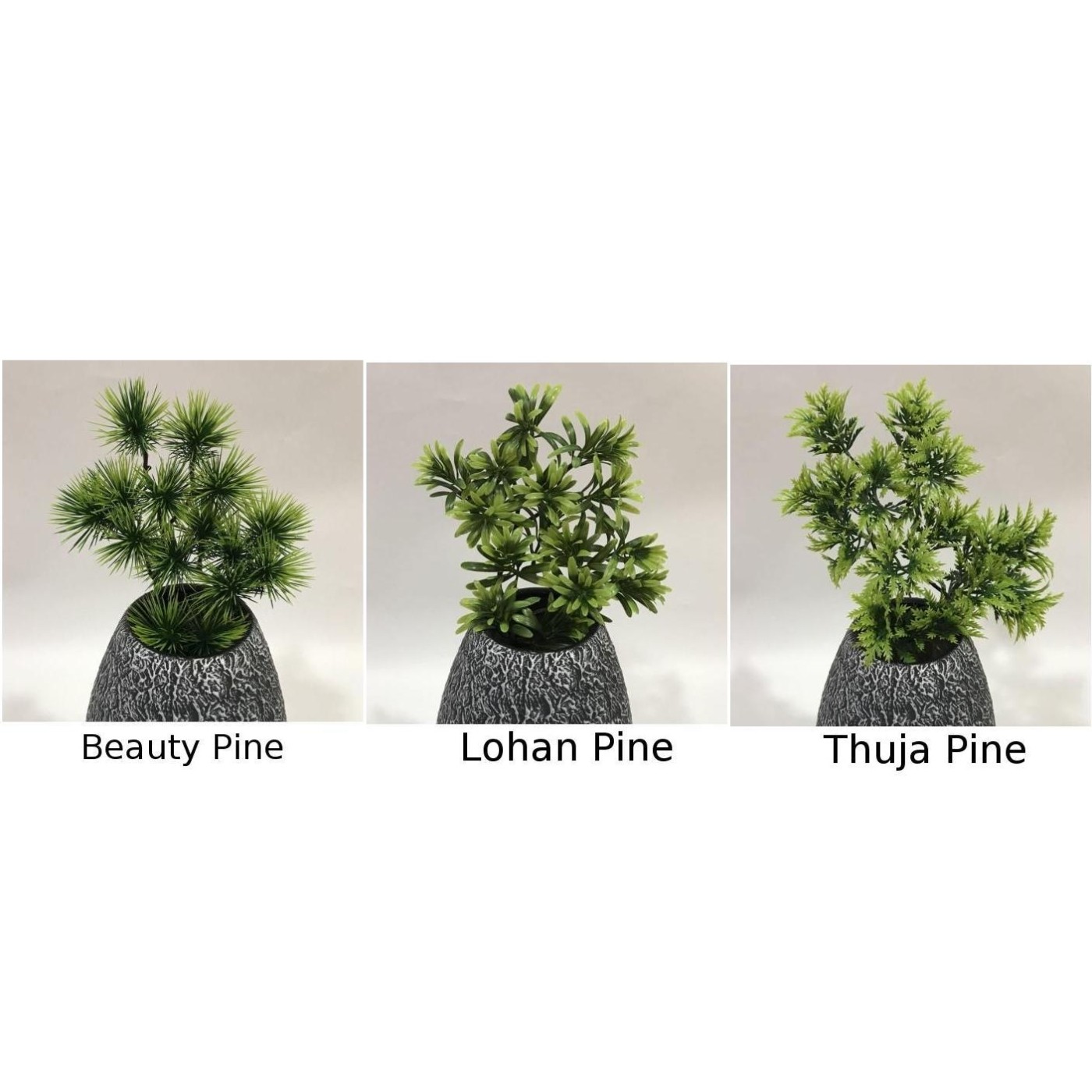 blumenkasten löcher öffnen Balkonkasten aus Holz 60cm – Green Me Up main image 1