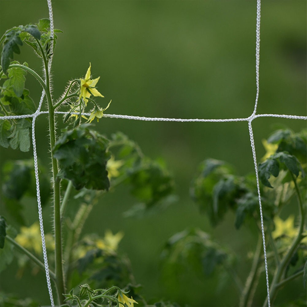 Garden Trellis System Reliable Mesh Netting for Climbing Plants 5x60FT - Picture 19 of 24