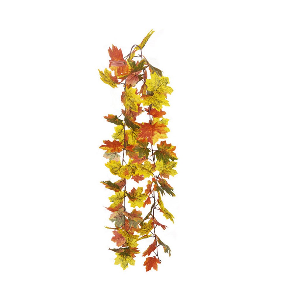 Elegante pianta da appendere con foglie d'acero autunnale per arredamento intern